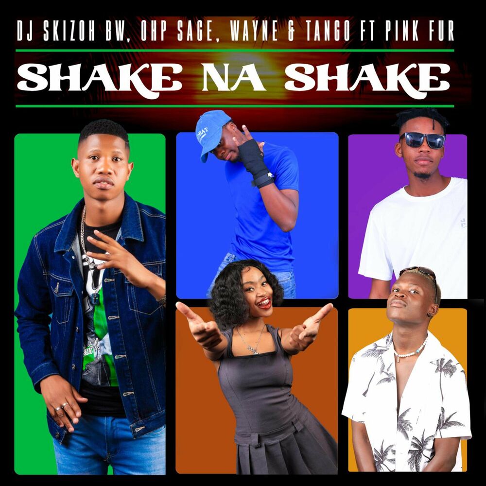 Dj Skizoh BW, OHP Sage, Wayne & Tango - Shake na Shake (feat. Pink Fur)
