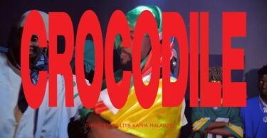 AOPDH - CROCODILE