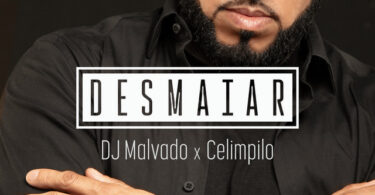 DJ Malvado & Celimpilo - Desmaiar