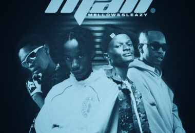 Novatron, Hotfurze, Mellow & Sleazy - Mali (feat. Mpho Spizzy & D' Braz)