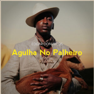 Edgar Domingos - Agulha No Palheiro