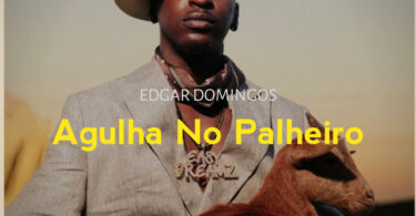 Edgar Domingos - Agulha No Palheiro