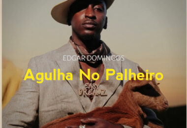 Edgar Domingos - Agulha No Palheiro