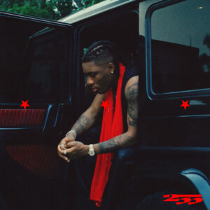 255 - Control (feat. Joeboy & Bella Shmurda)