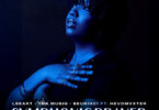 LeeArt, TNK MusiQ & Seun1401 - SYMPHONIC PRAYER (feat. Hevdmvxter)