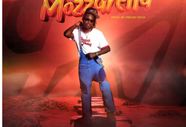 Cheez Beezy - Mozzarella