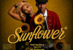 RedC Ngwane & Tyler ICU - Sunflower (feat. Zee Nxumalo)