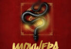 DJ DADAMAN, DJ Maphorisa, Kabza De Small & Enny Man Da Guitar - MOKWEPA (feat. Focalistic, Ftears, Ch'cco, Seun1401 & Mbuzi)