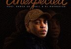 Xduppy & Stakev - Unexpected (feat. Kabza De Small & DJ Maphorisa)