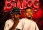 Scottish K2K – Bit Log (feat. Mnk Musiq, Fingerrboy & Tyler ICU)
